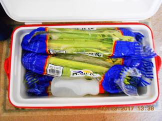 cooler full of celery
