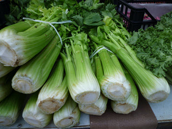 bunches of celery